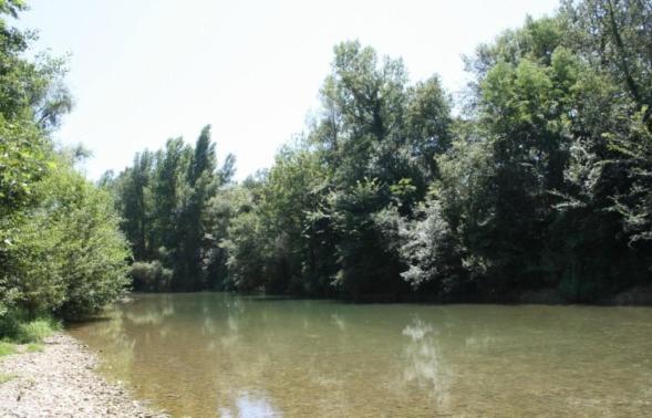 לינה וארוחת בוקר Gaudiès Chateau De Gargas מראה חיצוני תמונה